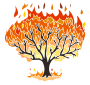 Burning Bush