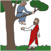 Zacchaeus