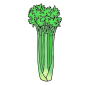 Celery Picture