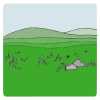 Grasslands Picture