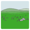 Great Green Field