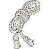 Cincture