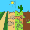 Biomes