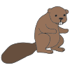 Mr. Beaver