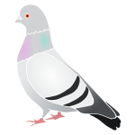 Pigeon Stencil