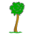 palm