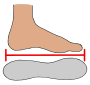 Shoe Size  Picture