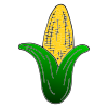 Corn+cob Picture