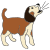 bark