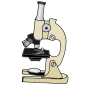 Microscope Picture