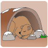 Caves+make+a+great+den+for+large+animals+in+winter. Picture