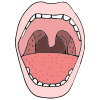 Open wide