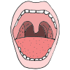 Tongue+is+Up_Back+_+Touching+Top+Back+Molars Picture