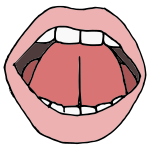 Tongue Up Picture