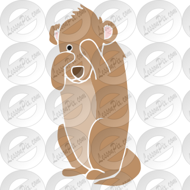 Shy Groundhog
