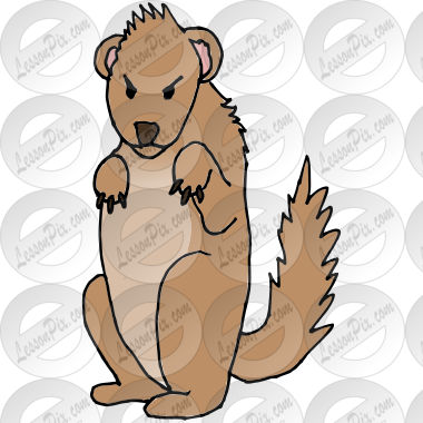 Mad Groundhog