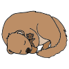 Groundhogs are known for their hibernation habits. They fall into a sleep state during the winter months, reducing their body temperature and metabolic rate.  Picture