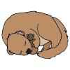 The+groundhog+is+sleeping. Picture