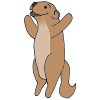 In the wild, groundhogs typically have a lifespan of 2 to 3 years. However, their life expectancy can be longer in captivity.  Picture