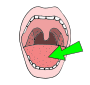 Tongue Picture