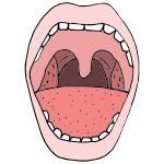 Mouth Picture