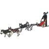 Dog Sled Team