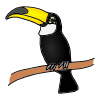 bird+-+toucan Picture