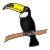 bird