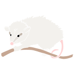 Possum Stencil