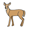 A Deer lives in the swamp.
