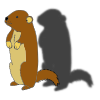 Groundhogs are skilled diggers, and their burrows can be quite elaborate. The burrows serve various purposes, including hibernation, raising young, and providing shelter from predators.  Picture