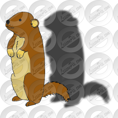 Groundhog Shadow