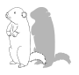 Groundhog Shadow