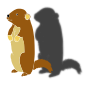 Groundhog Shadow