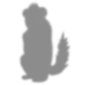 Mad Groundhog Shadow