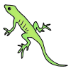 Lézard