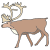 buck