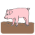 piglet