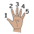palm