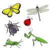 These are all....