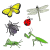 bugs