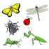 bugs