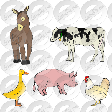 Farm Animals