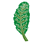 Kale Stencil