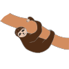 International Sloth Day