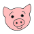 pig