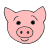 pig