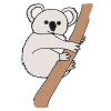 The koalas were clinging