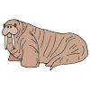 Walrus
Walruses use their tusks to haul themselves out of the water and onto the sea ice.