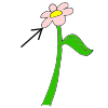 petals